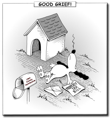 What To Do To Lower Your Property Taxes In Pierce County, Washington