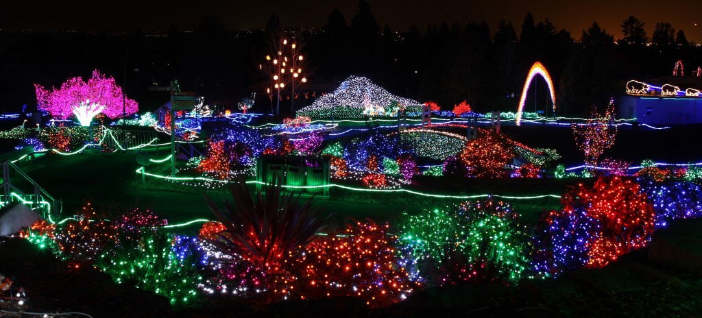Point Defiance Zoolights